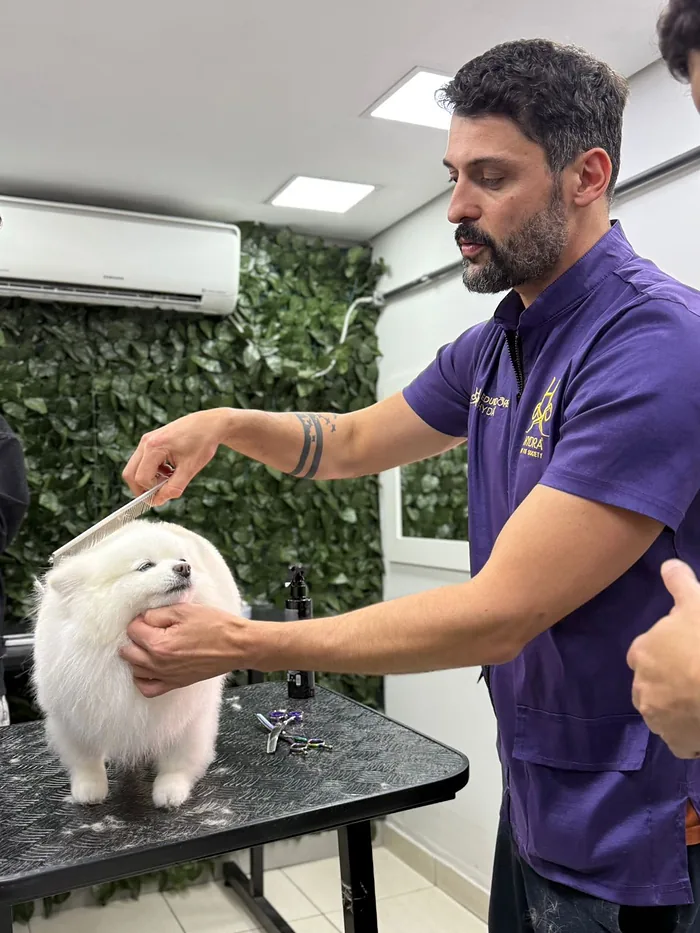 Vinícius Dei Gobbi finalizando a tosa de um Spitz branco na sala de banho e tosa do Espaço Vila Animal